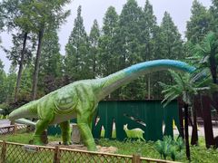 -黄海国家森林公园