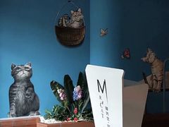 -猫先生时尚火锅(桂平路店)