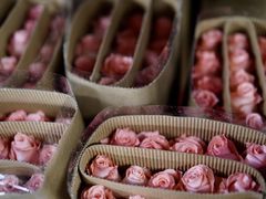 -昆明国际花卉拍卖交易中心