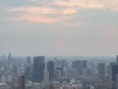 -金轩中餐厅 Jin Xuan(浦东丽思卡尔顿酒店)