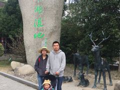 -溱湖国家湿地公园