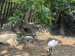 -昆明动物园