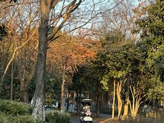 -西溪国家湿地公园