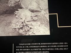 -秦始皇帝陵博物院-丽山园