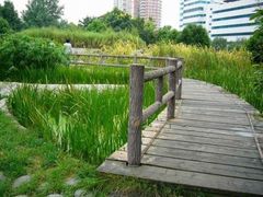 -成都市活水公园