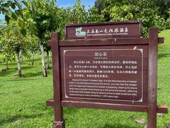 -三亚南山文化旅游区