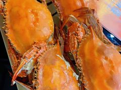 螃蟹-大锅强·蒸海鲜青岛菜(吾悦广场店)