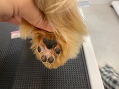 -comecome来吧宠物(奥克斯中心店)