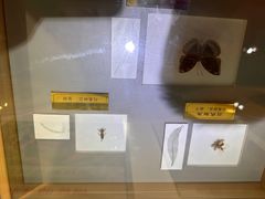 -上海昆虫博物馆