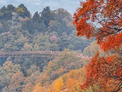 -少华山国家森林公园