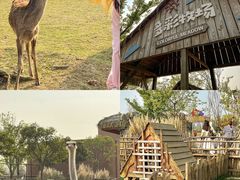 -祥源·阜阳生态乐园