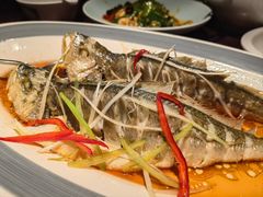 -前海沿·青岛菜(五四广场永旺店)