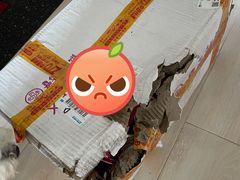 -嘉华鲜花饼(大理元帅府店)