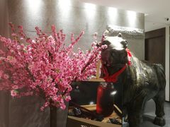 -秦宝雪花牛肉养生火锅(大兴九臻店)