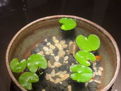 -曲水兰亭(北京四惠店)