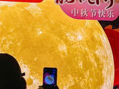 -龙悦湾酒家·八阵鱼生·渔人码头店