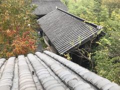 -田园东方蜜桃村的田野营地