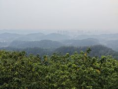 -云碧峰国家森林公园
