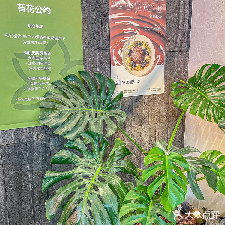 天啊！重百里面居然开了一家这么好吃的舒芙蕾