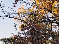 -北京石刻艺术博物馆(五塔寺)