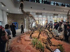 -自贡恐龙博物馆