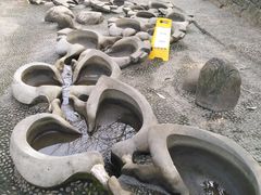 -成都市活水公园