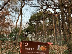 -虞山风景区