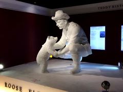 -成都泰迪熊博物馆