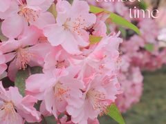 -渭河城市绿地运动公园