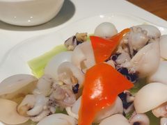 -三猫黑鱼花(南大店)