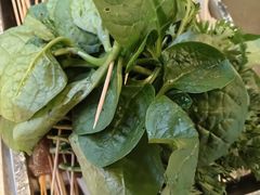 -钢管厂五区小郡肝火锅串串香(总店)