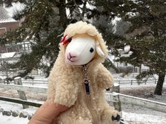 -神户市立六甲山牧场