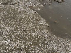 -辽宁团山国家级海洋公园