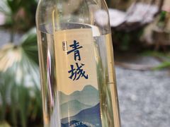 -青城山