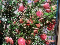 -八府香鸭·啫啫煲(华山路店)