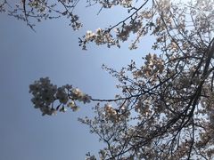 -复旦大学光华楼