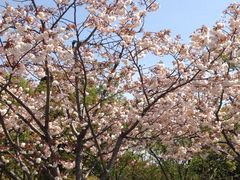 iphone_upload_pic-新江湾城公园