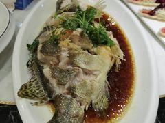 -喜来酌海鲜·饺子(和平一店)