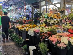 -曲阳花鸟市场(曲阳路店)