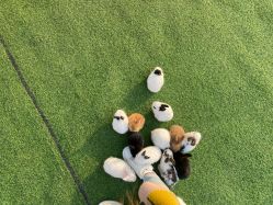 点击看大图 -萌宠亲子动物乐园(槐房万达店)