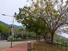 -风云岭森林公园