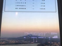 -紫峰大厦
