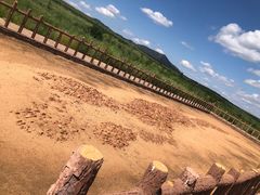 -查海遗址博物馆