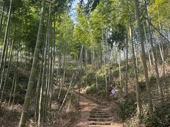 -仙霞关景区