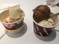-哈根达斯(城西银泰店)