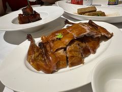 -圆苑(金茂店)