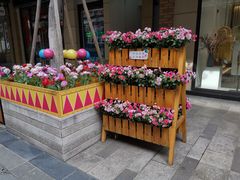 店内环境-绿宝广场