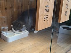 -有才叔的小馆(民乐园店)