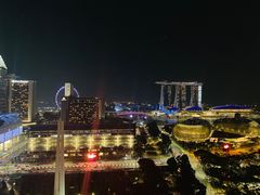 -新加坡瑞士史丹福酒店