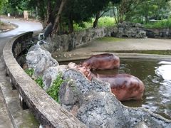 -清迈夜间动物园